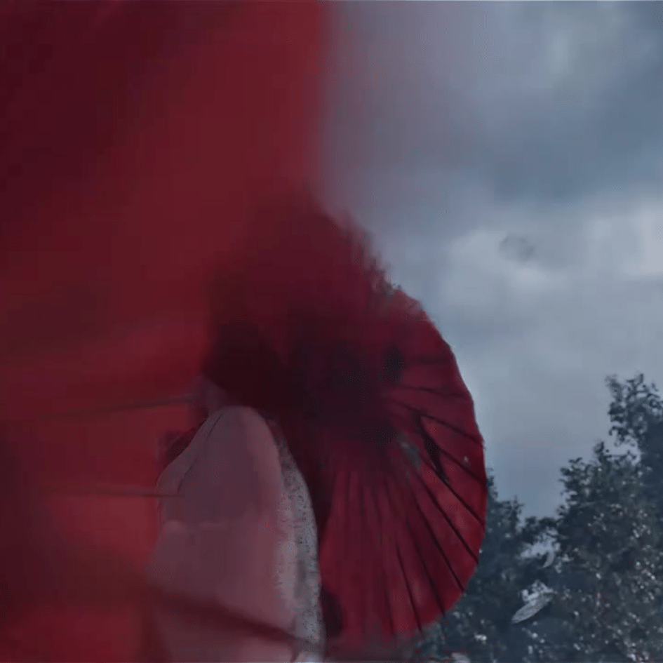 毒藥₊⁺☁₊烏蕨